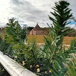 Olio Su Pietra