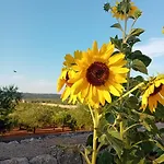 Nocleg ze śniadaniem Olio Su Pietra Castellana Grotte