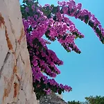 Olio Su Pietra
