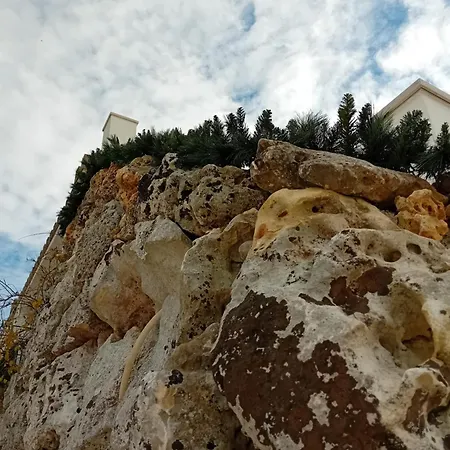 Couette-café Olio Su Pietra