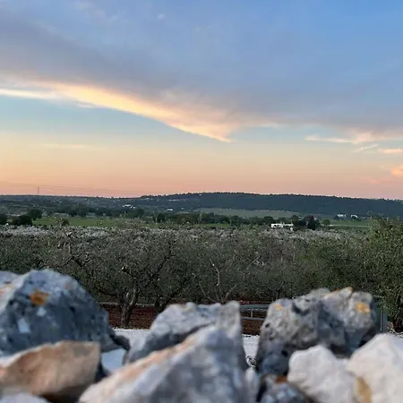 Olio Su Pietra Castellana Grotte