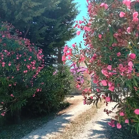 Bed and breakfast Olio Su Pietra 3*