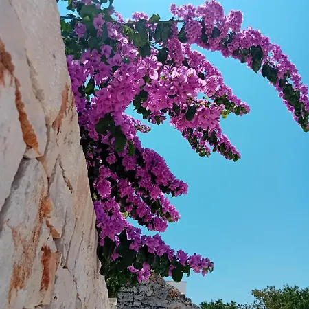 Olio Su Pietra