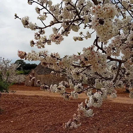 Couette-café Olio Su Pietra