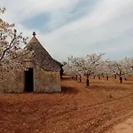 Olio Su Pietra 3*