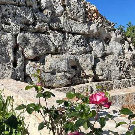 Olio Su Pietra Alojamento de Acomodação e Pequeno-almoço Castellana Grotte