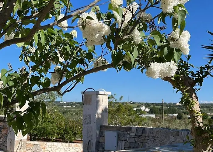 Bed & Breakfast Olio Su Pietra