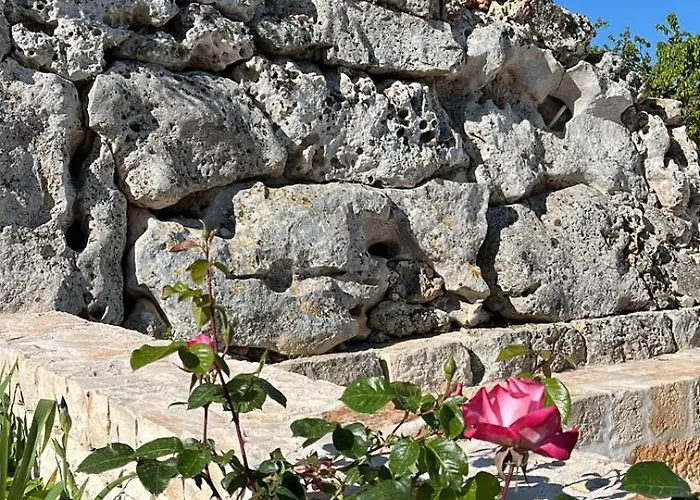 Olio Su Pietra Bed & Breakfast Castellana Grotte