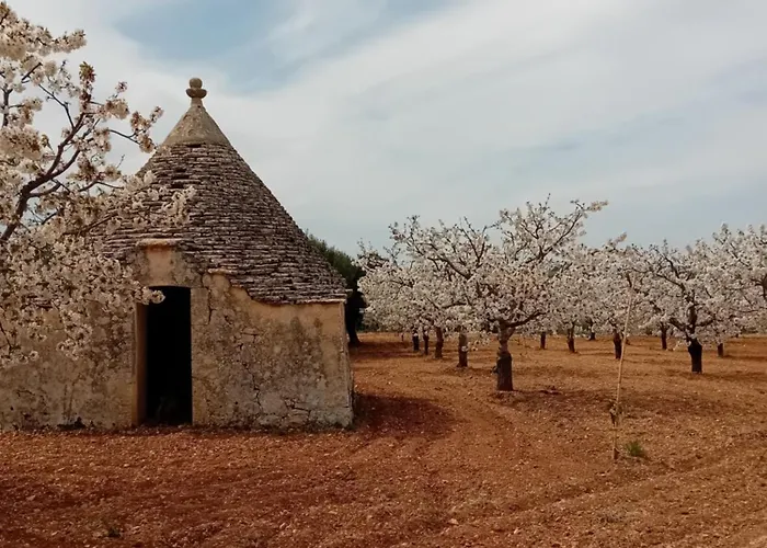 Olio Su Pietra 3*